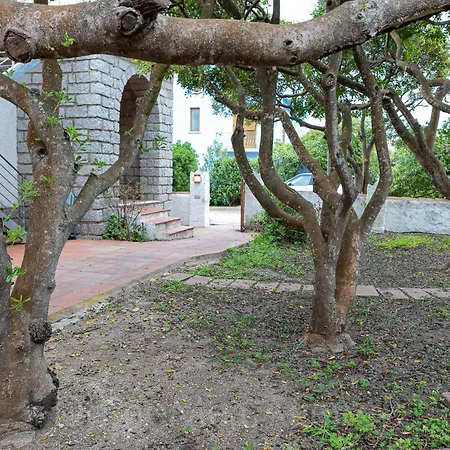 Casa vacanze Mistral Capo Testa